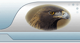 ����� ��� ������ 